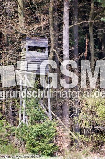 Hochstände (66 von 154).jpg